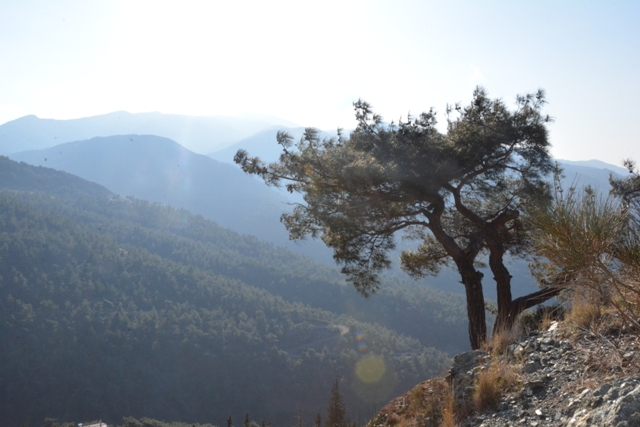 Doğanın Kalbinde