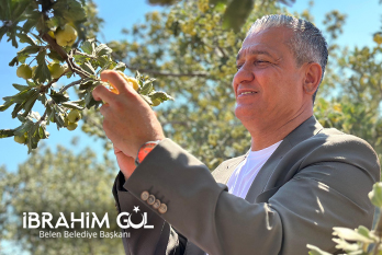 İbrahim Gül